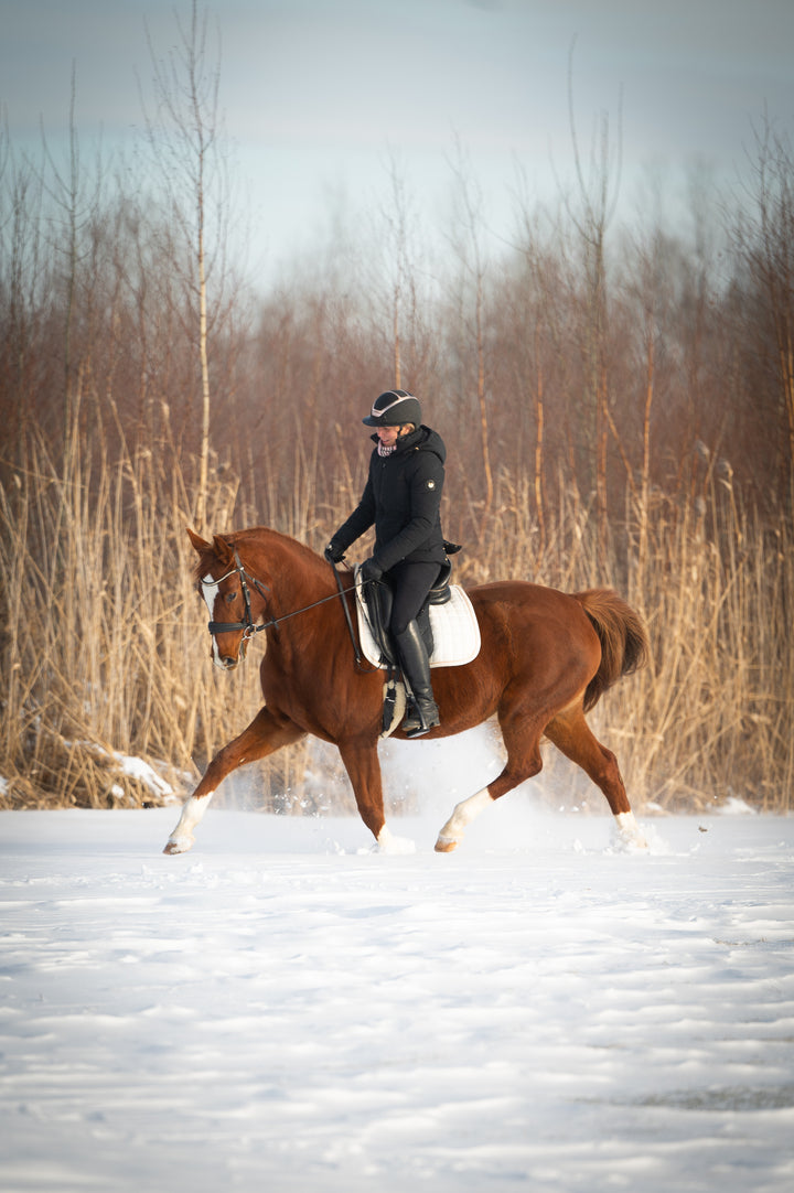 Veste d'équitation d'hiver Aspen