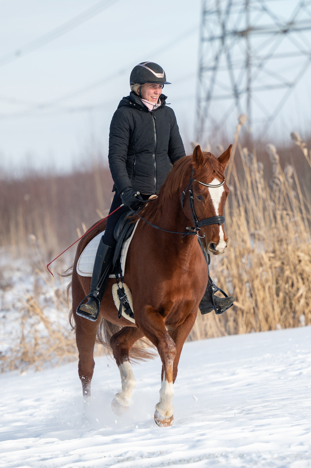 Veste d'équitation d'hiver Aspen
