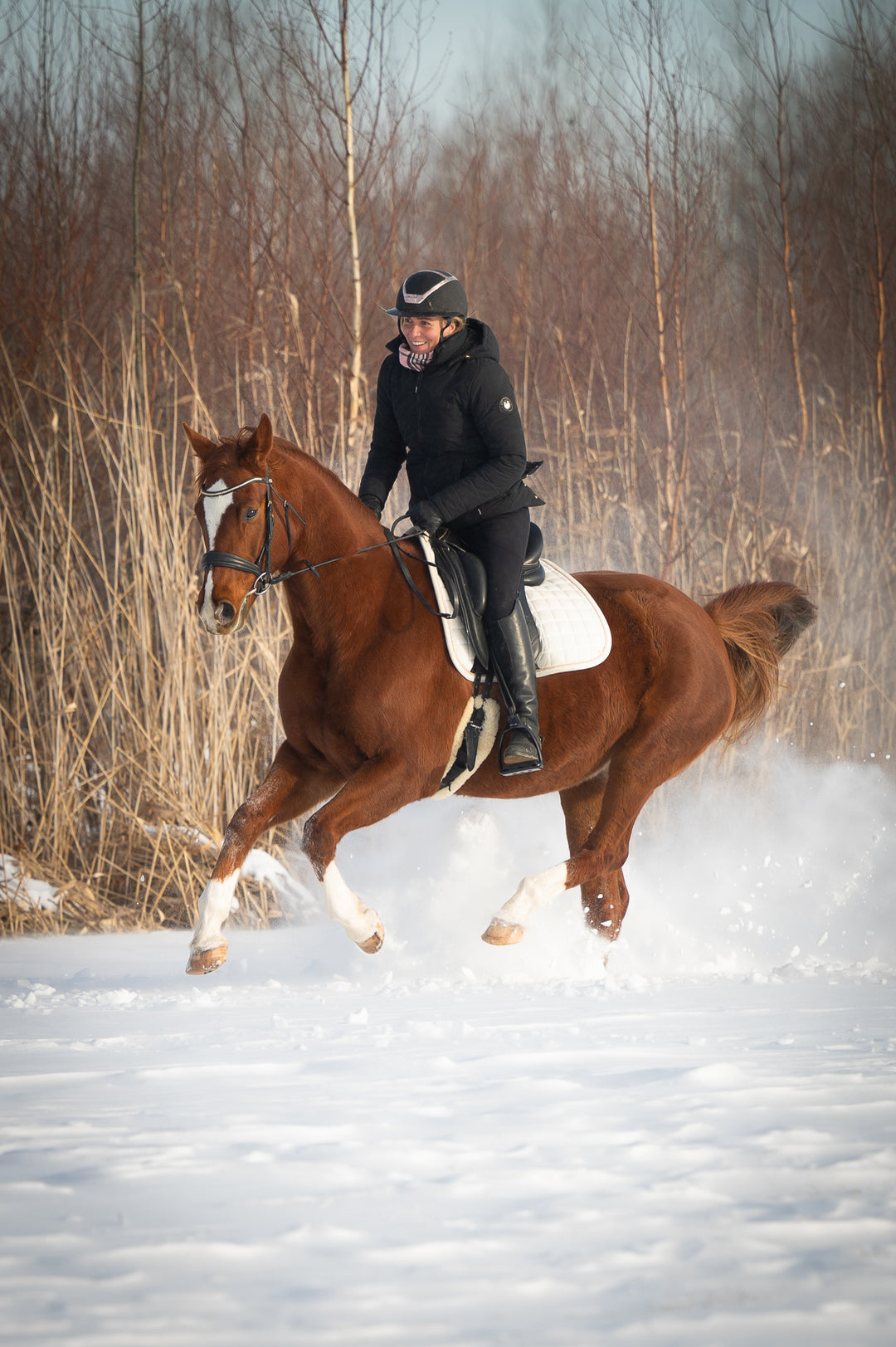 Veste d'équitation d'hiver Aspen