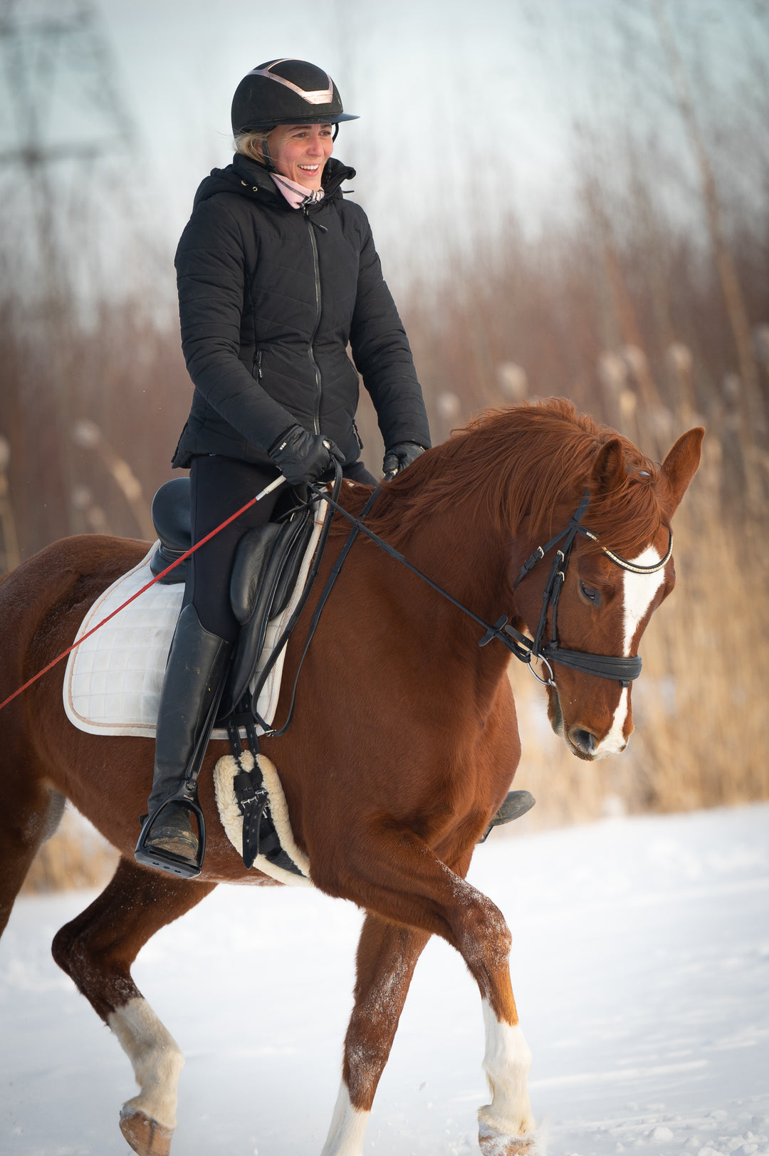 Veste d'équitation d'hiver Aspen