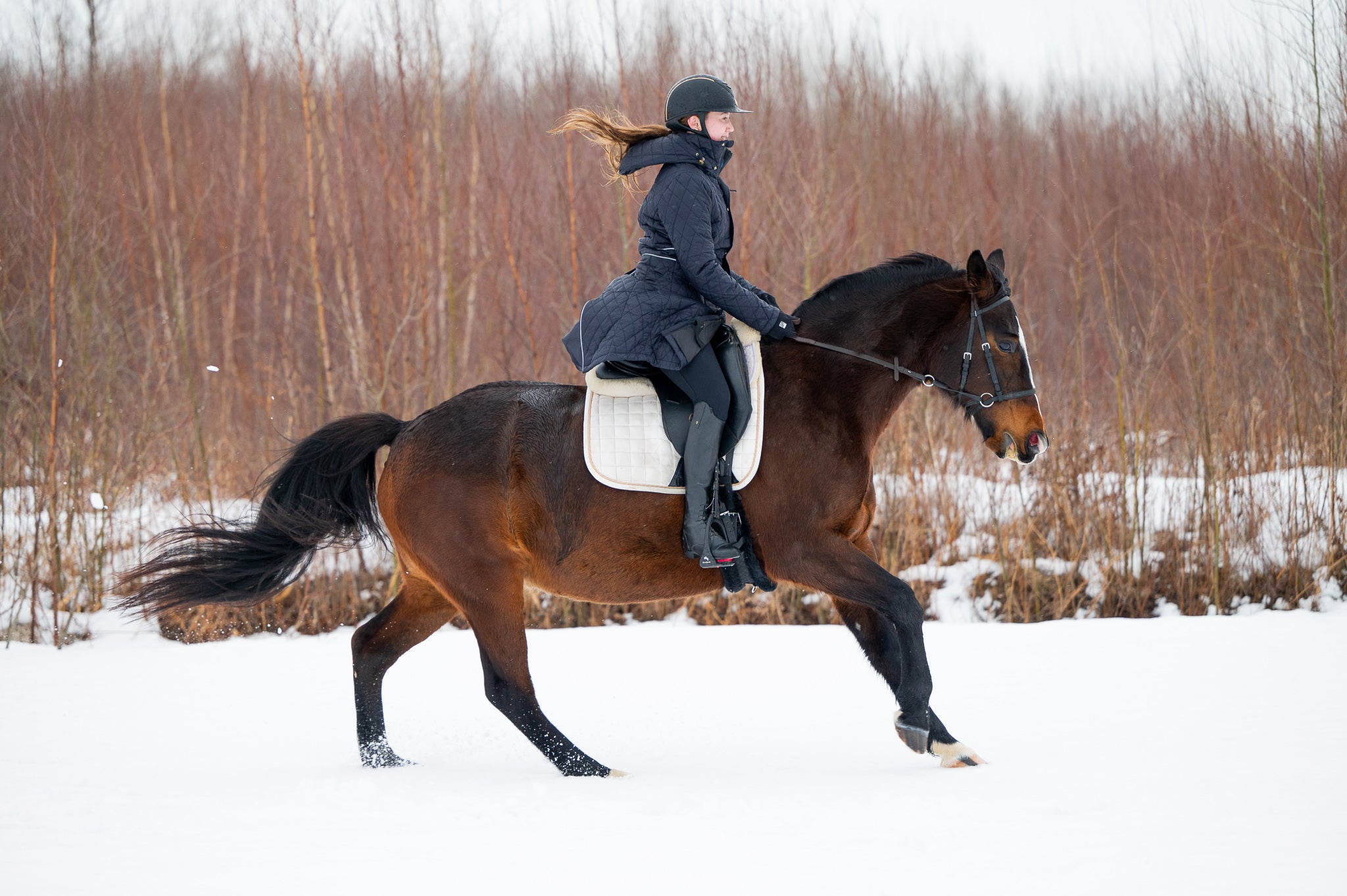 KATMAI long winter jacket NAVY – Leveza