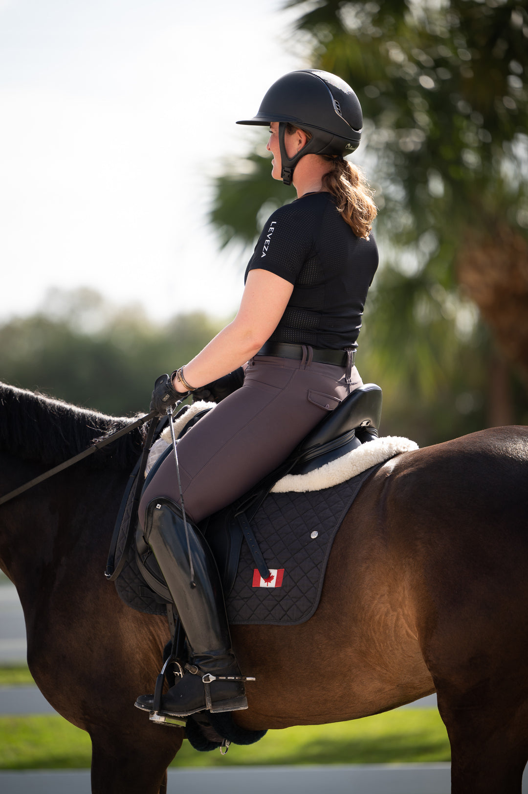 Serenata Mocha plum brown Riding Leggings