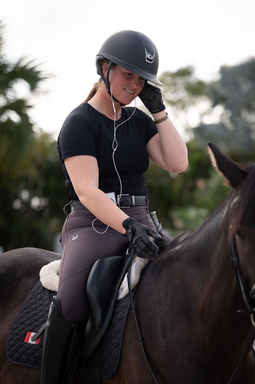 Serenata Mocha plum brown Riding Leggings