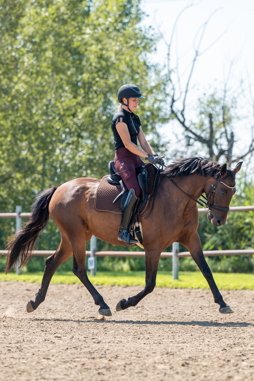 Serenata Burgundy Riding leggings