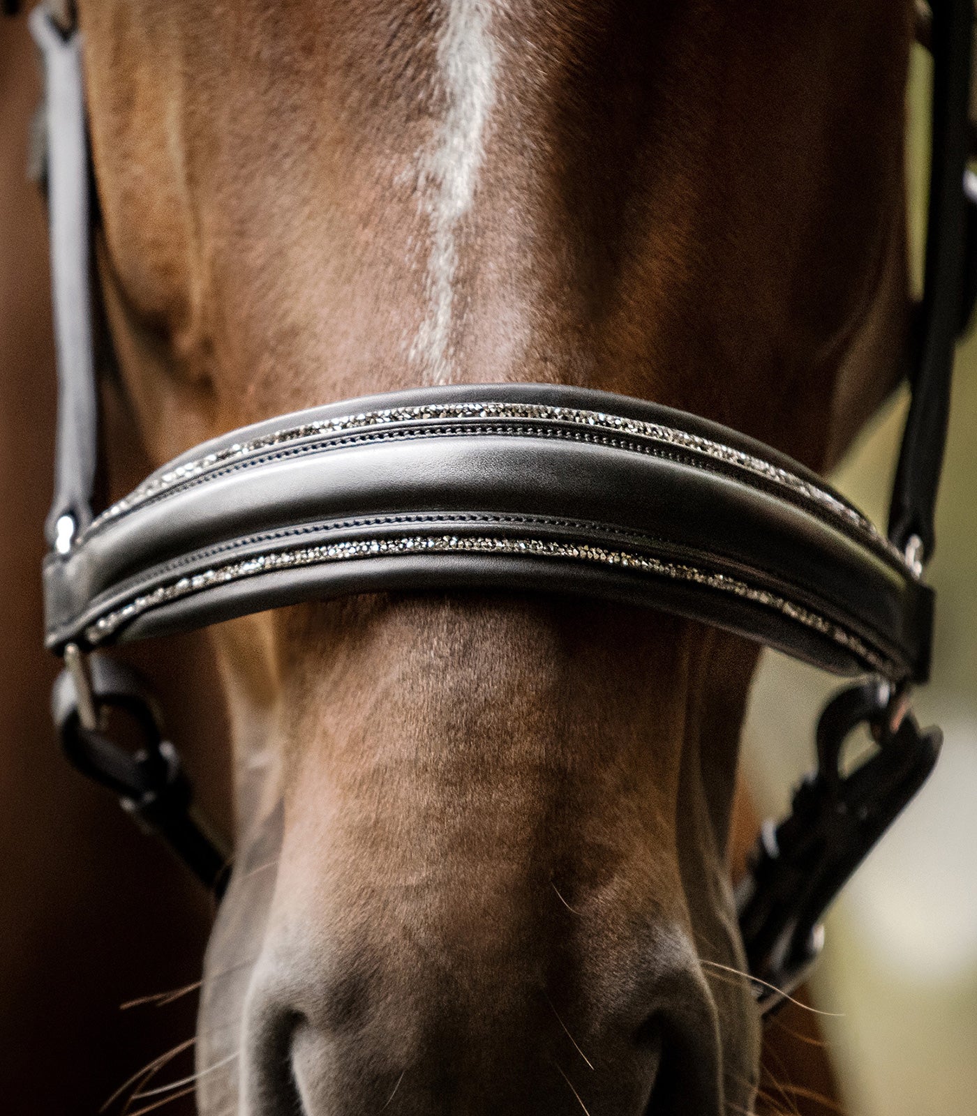 Licol Waldhausen S-Line Glamour en cuir - VENTE FINALE