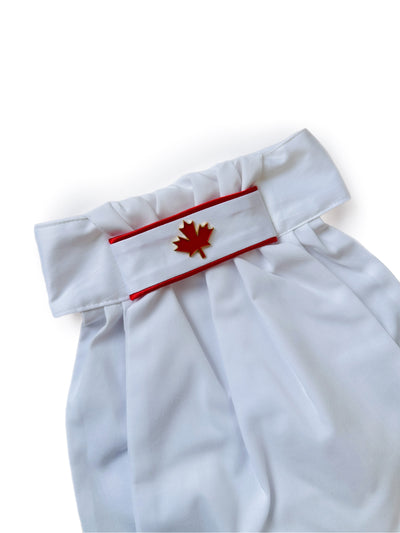 Canada 🇨🇦 Cravate de stock