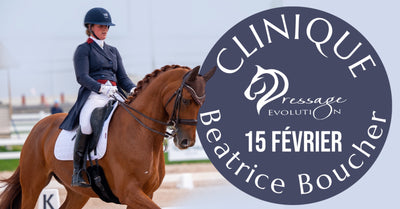 Clinique Auditeur 15 Février 2025