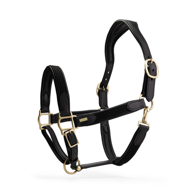 Licol en cuir de luxe Mrs. Ros - VENTE FINALE