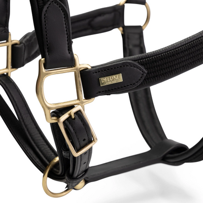 Licol en cuir de luxe Mrs. Ros - VENTE FINALE