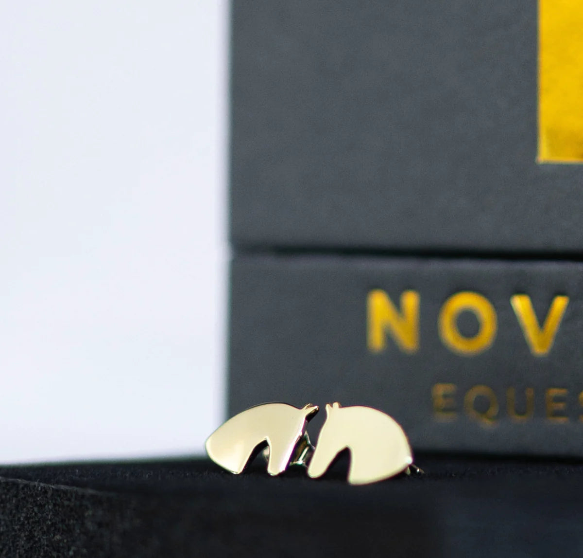 La boucle d'oreille Signature Novella 14K.