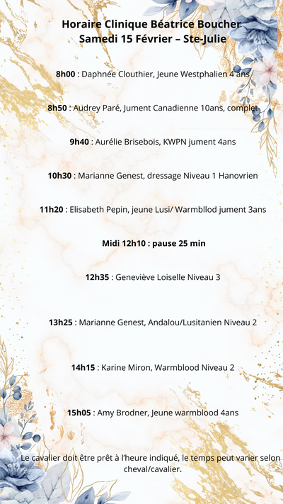 Clinique Auditeur 15 Février 2025