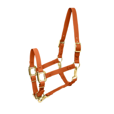 iCavalos Horse Halter