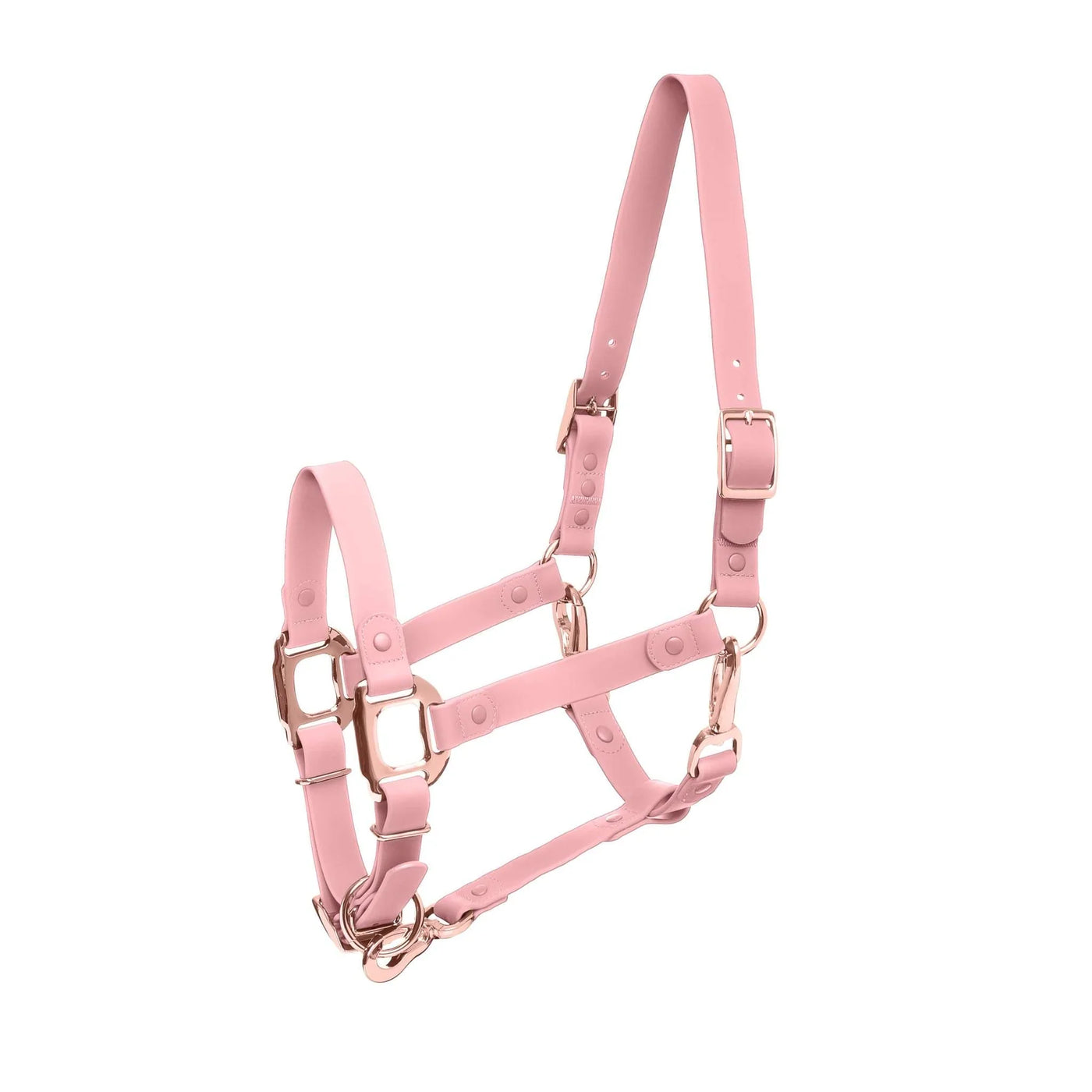 iCavalos Horse Halter