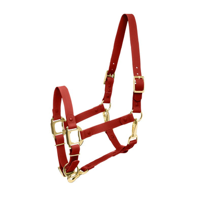 iCavalos Horse Halter