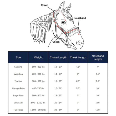 Licol pour cheval iCavalos