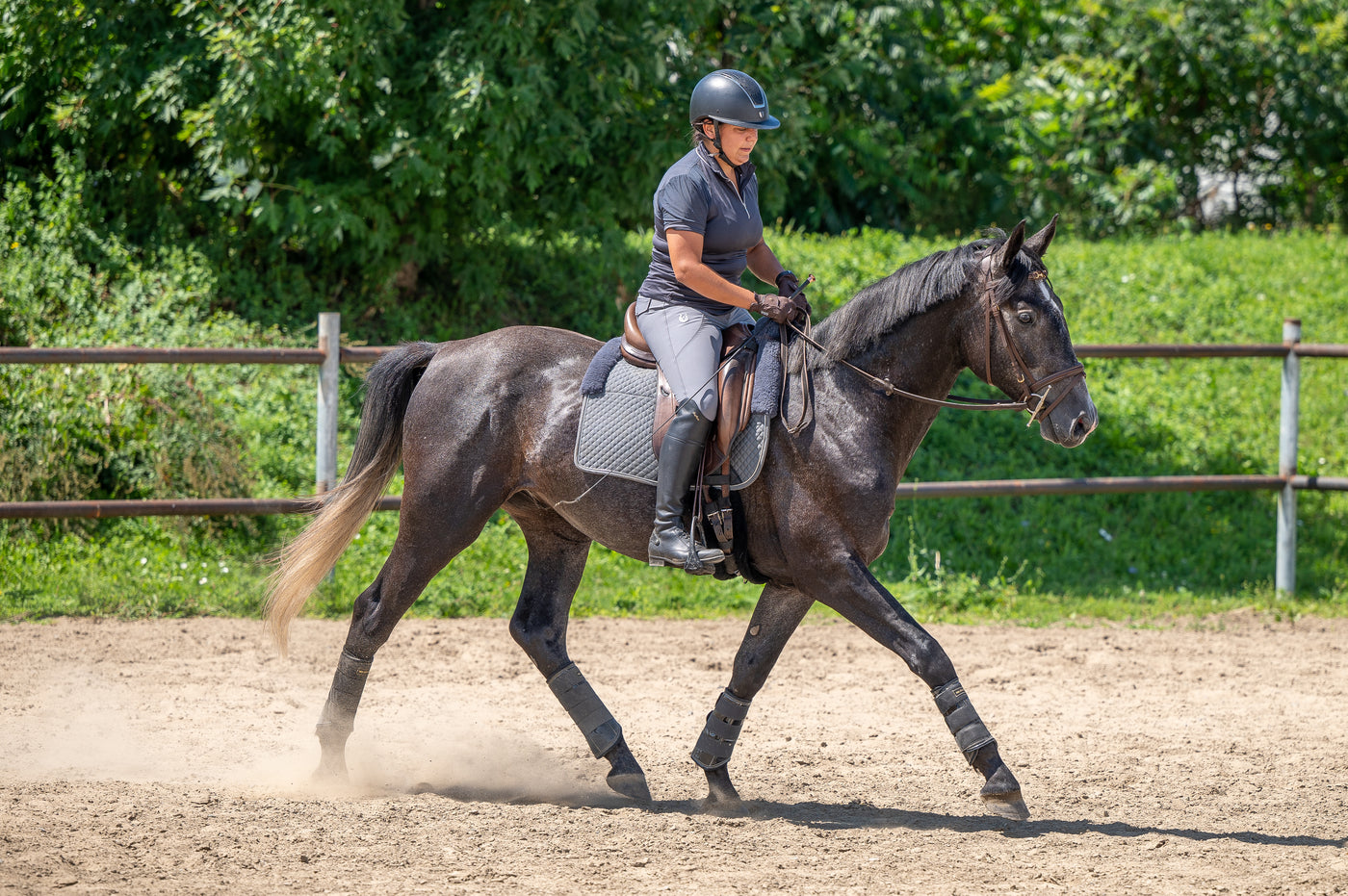 Limited grey Dressage sheepskin pad