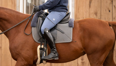 Delcy blue breeches