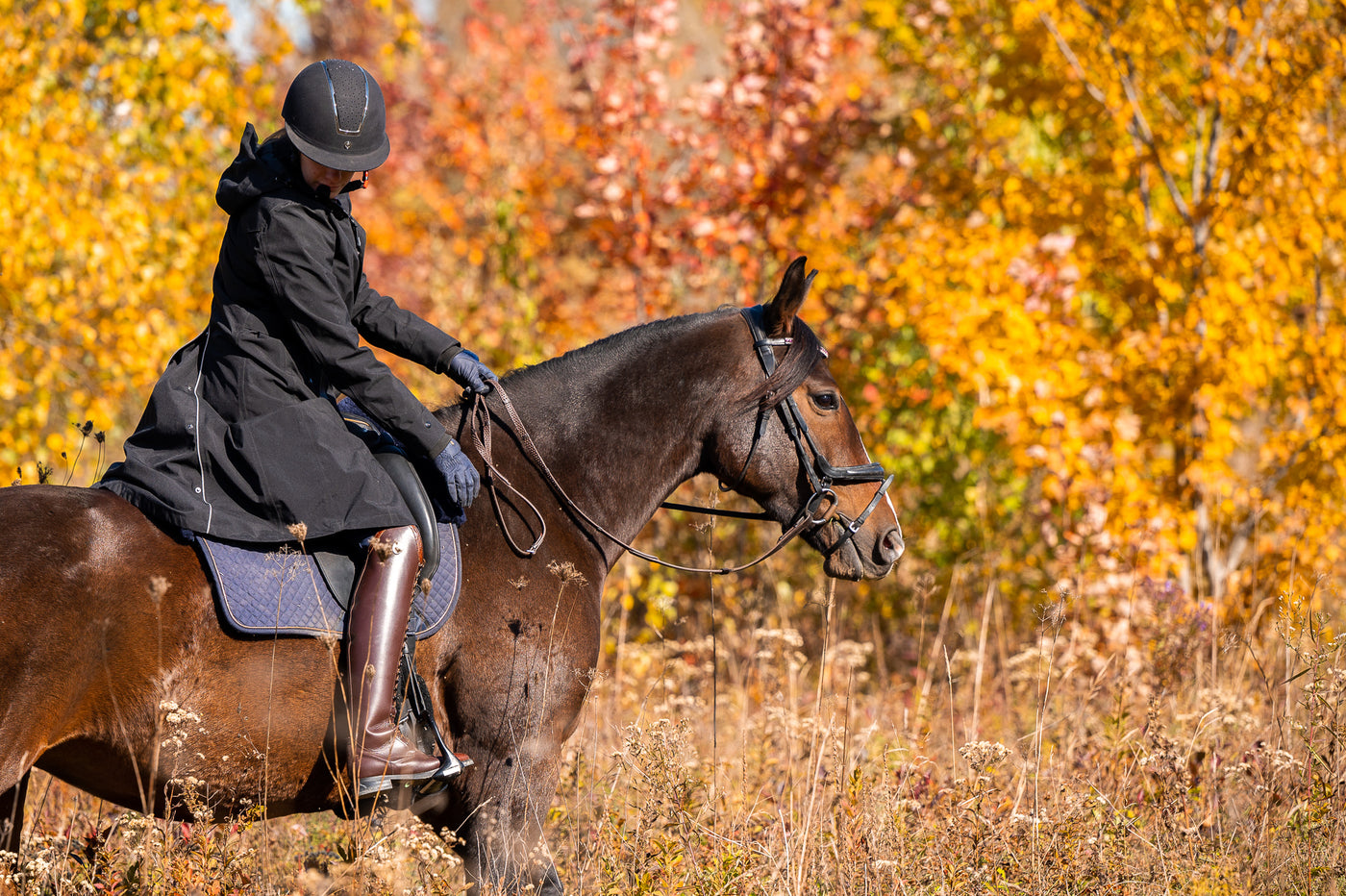 Veste d'équitation imperméable Tofino