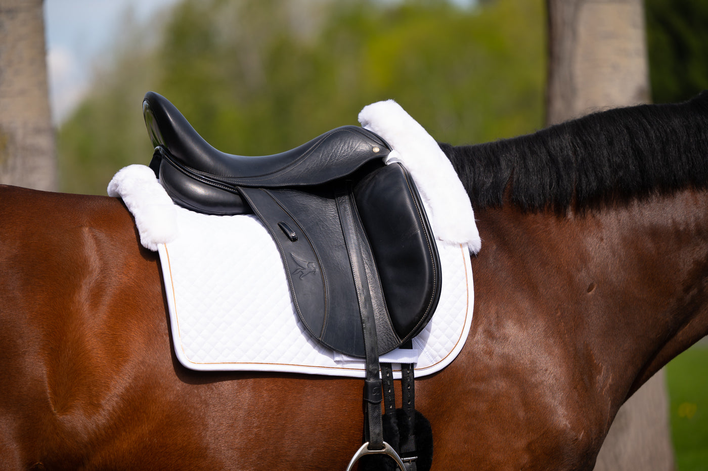 White rose gold - Limited Sheepskin dressage pad
