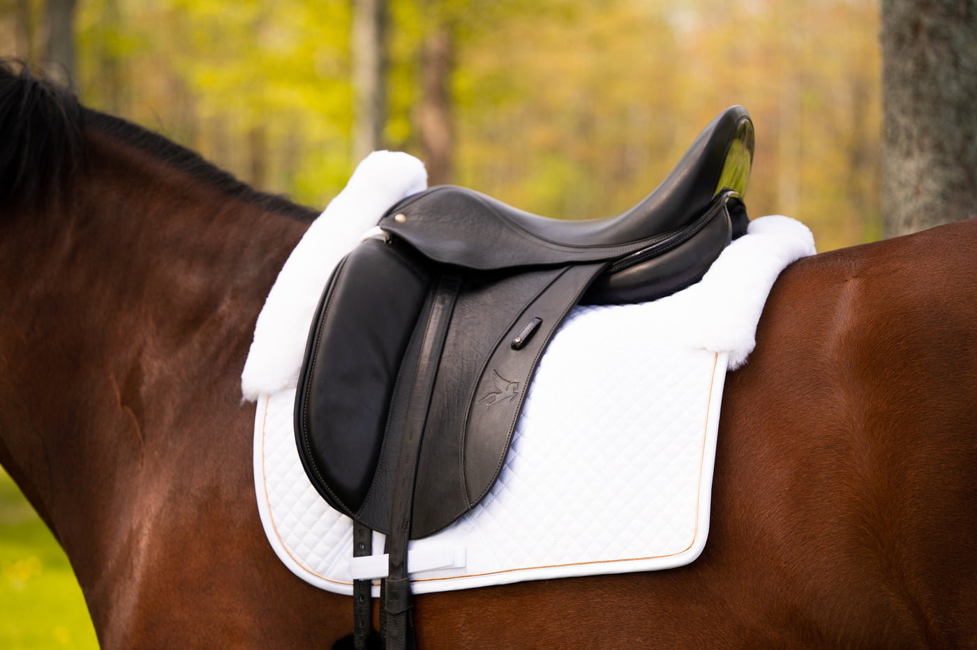 White rose gold - Limited Sheepskin dressage pad