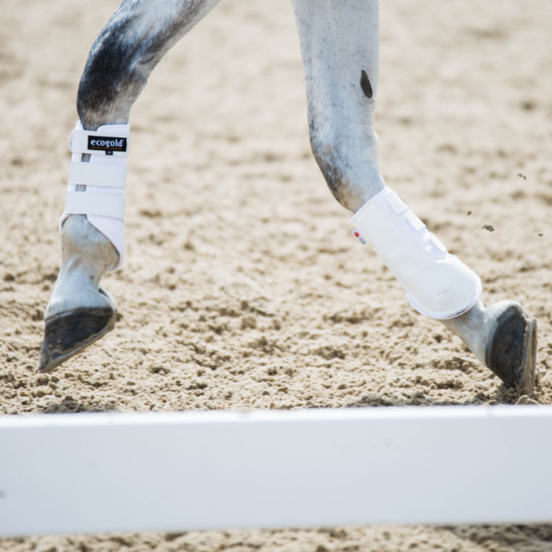 BOTTES POUR CHEVAUX D'EXERCICE - PRODUCTION LIMITÉE - PRÉCOMMANDES