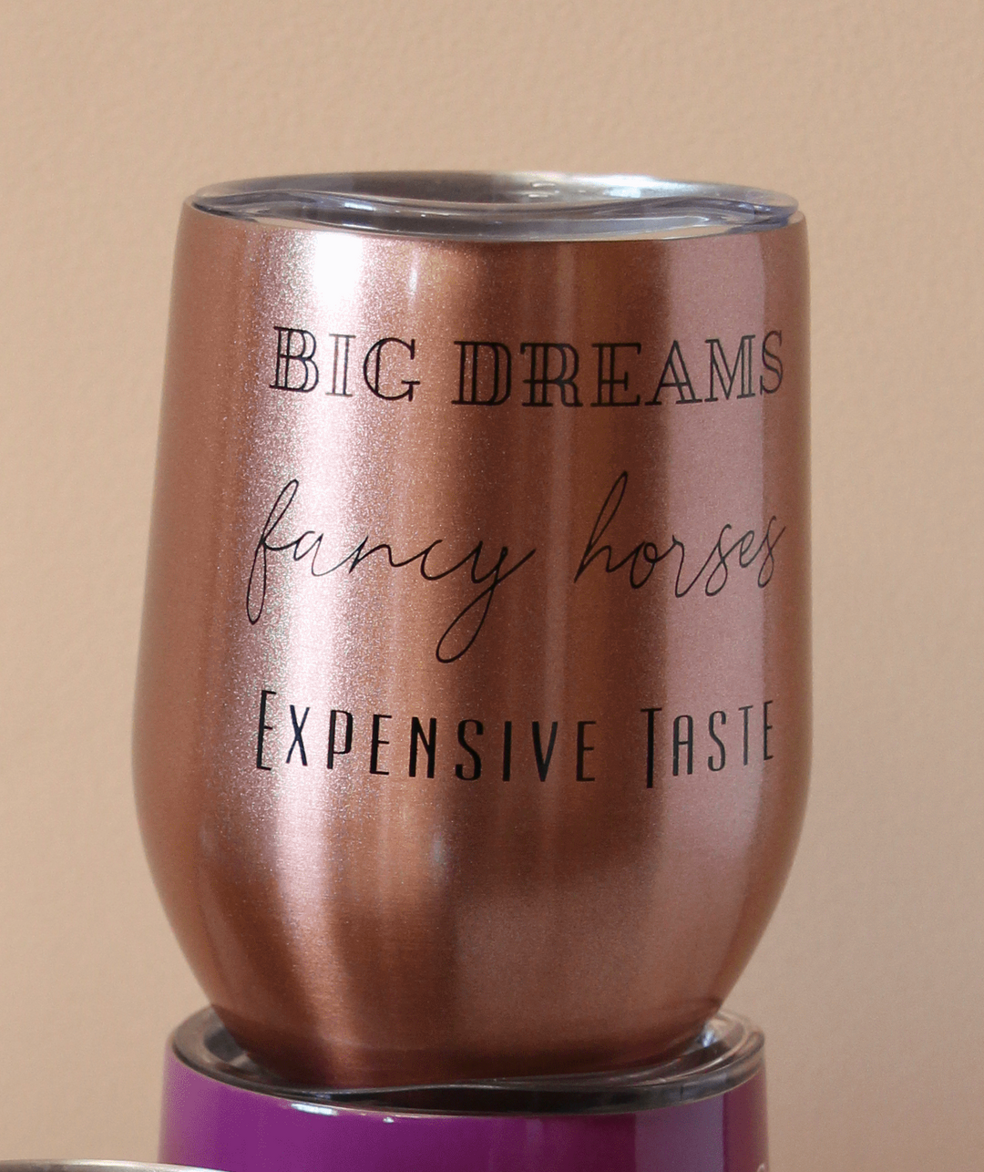 Big Dreams, Fancy Horses, Expensive Taste Insulated Cup - Leveza