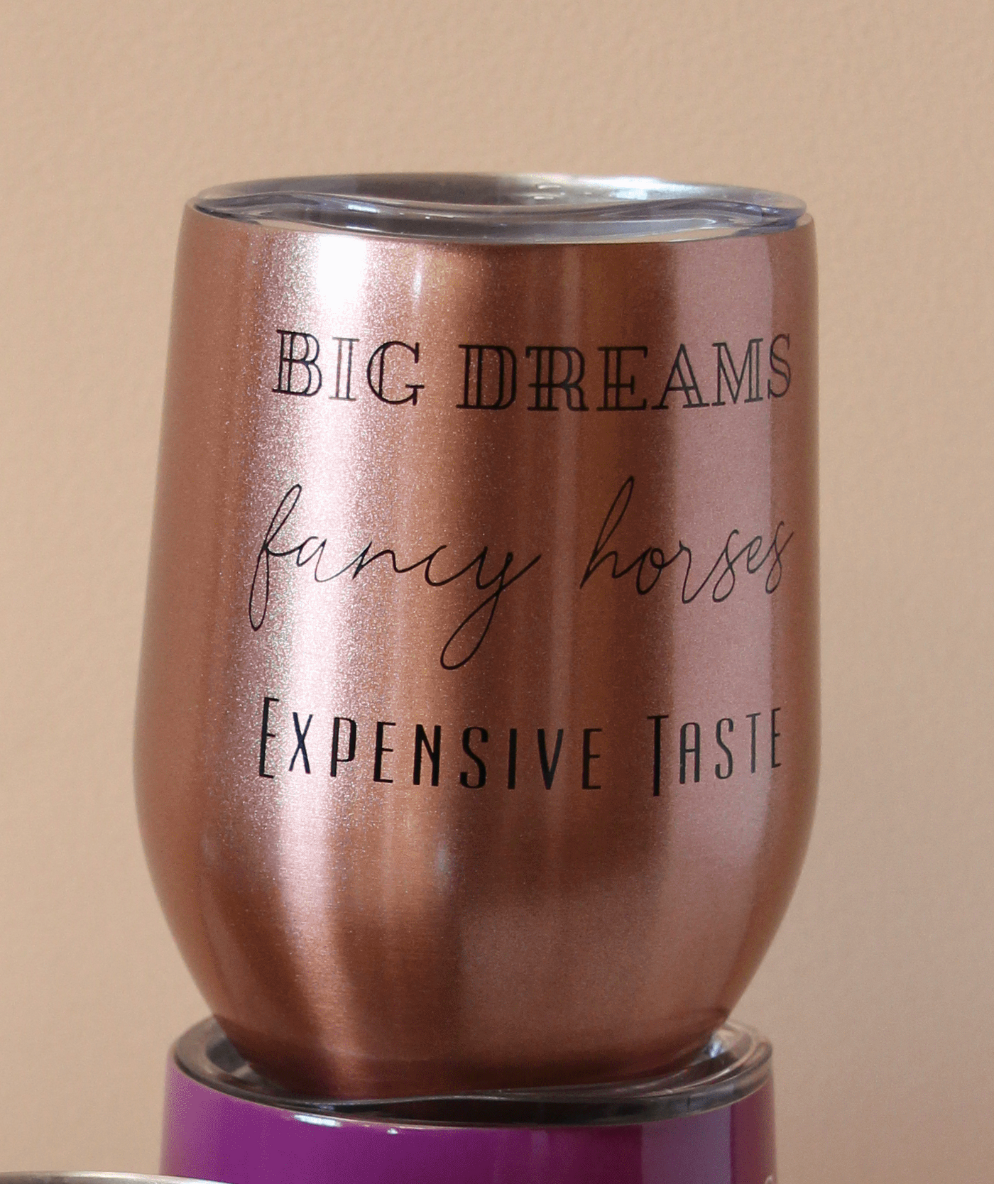 Big dreams, Fancy horses, Expensive taste Insulated Cup