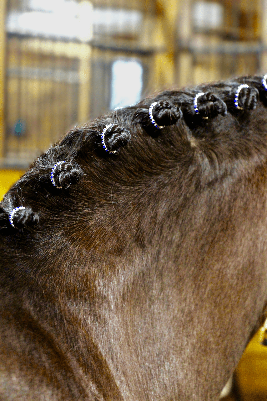 Tresse Blings