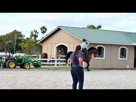 Pantalon d'été Clara à fond intégral - Bleu marine