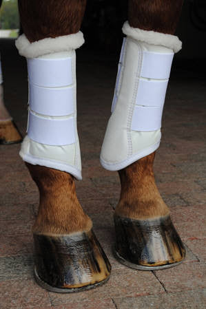 Dressage sport boots 2 - Leveza