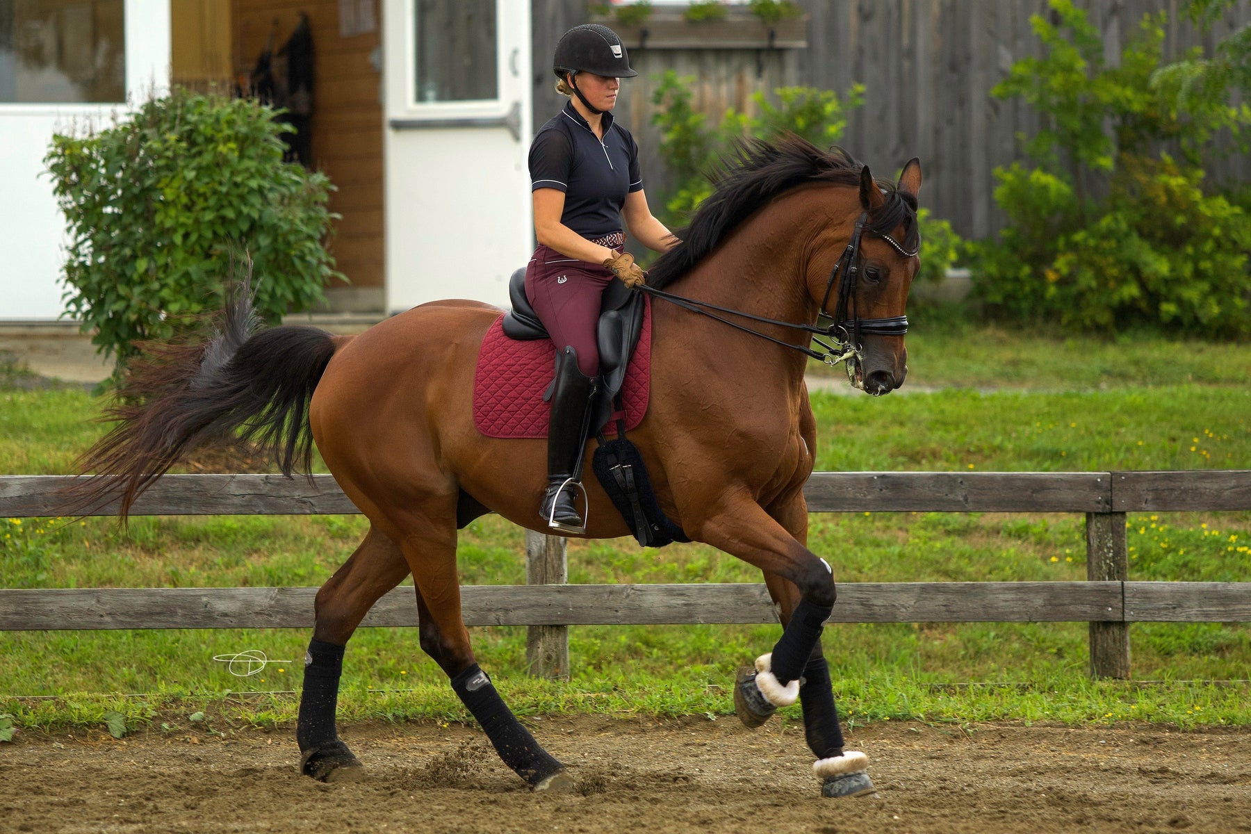 Leveza - Equestrian Apparel & Horse Riding Clothes