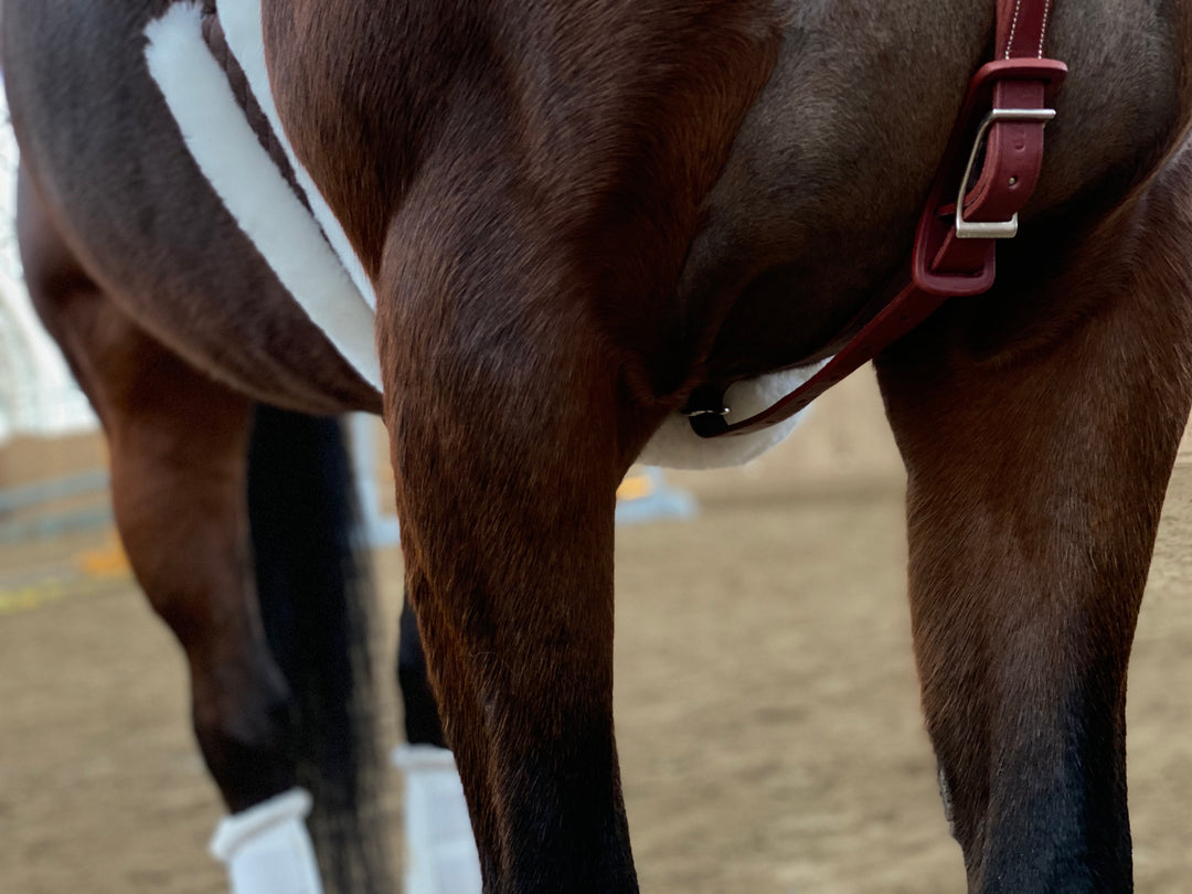 Fluffy Jumper girth - Leveza