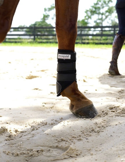 BOTTES POUR CHEVAUX D'EXERCICE - PRODUCTION LIMITÉE - PRÉCOMMANDES